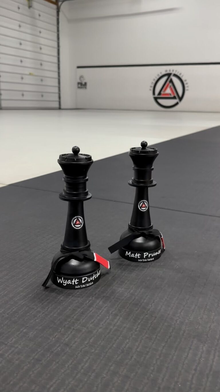 Instagram post from prodigymartialartsmn. This post is in position 14.